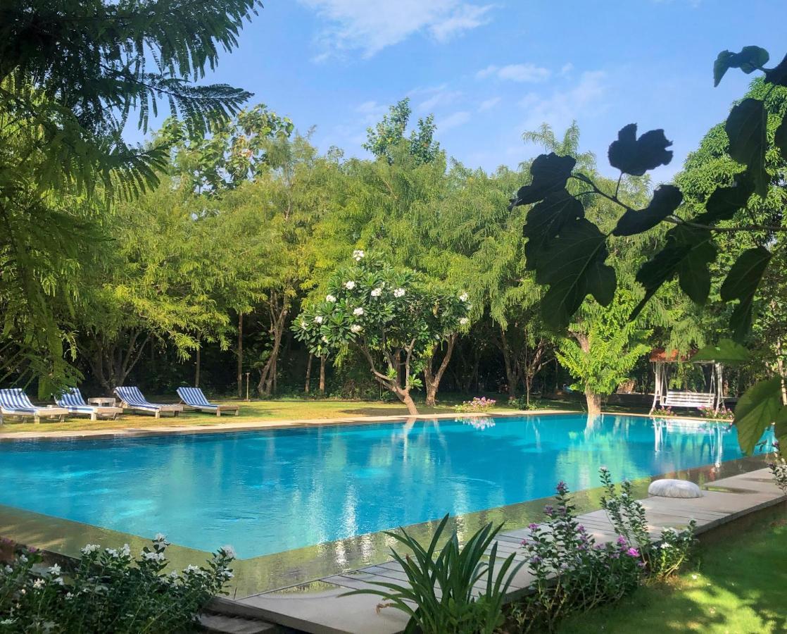 Pushkarorganic - Lux Farm Resort With Pool Exterior foto